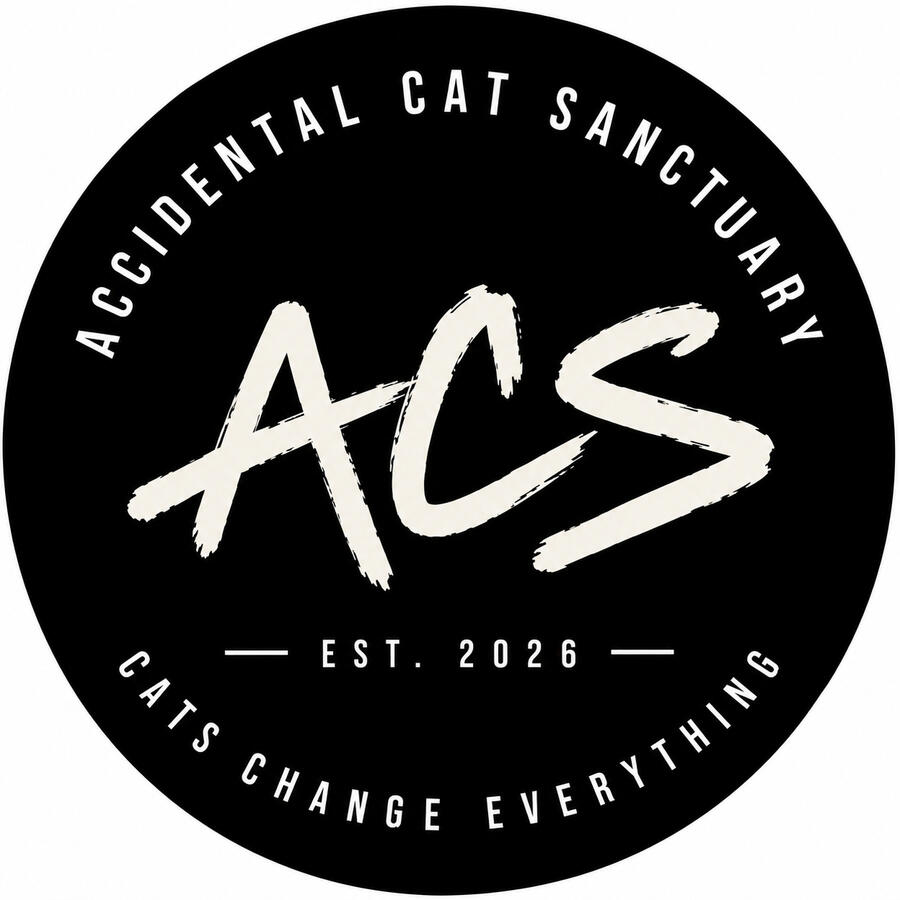 Sanctuary Cats
